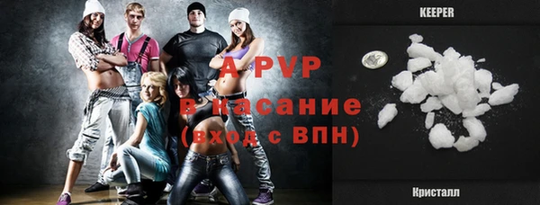 молекула духа Арсеньев