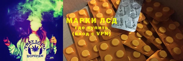 стафф Баксан