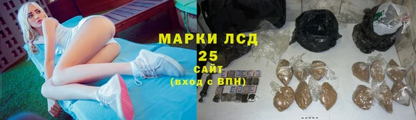 молекула духа Арсеньев