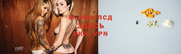 молекула духа Арсеньев