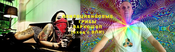 стафф Баксан
